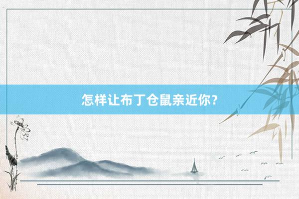 怎样让布丁仓鼠亲近你？